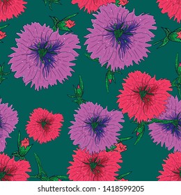 Clavel Color Flower Pattern Texture