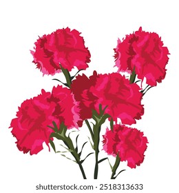 claveles which translates as Carnation flower 