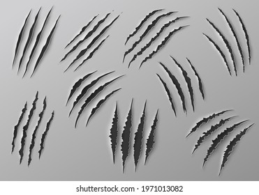 Claw marks, scratches and torn traces of vector animal paw slashes. Monster claw marks of wild tiger, lion, cat or bear attacks, dinosaur or werewolf aggressive traces, Halloween or horror themes