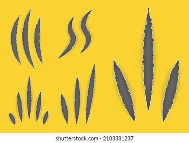 Claw marks, scratches, torn traces of animal paw slashes. Claw scratchs black silhouette. Art design. Talons cuts animal cat, dog, tiger, lion. Abstract concept graphic element. Vector werewolf symbol