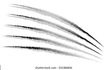 Claw marks, claw scratches vector