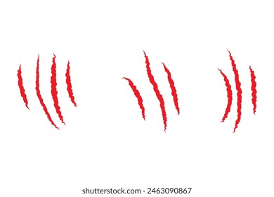 claw scratch set cartoon. animal cat, slash texture, nail paper claw scratch sign. isolated symbol vector illustration