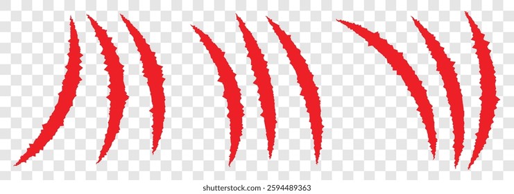 Claw scratches isolated. Animal claw scratches. Red scratch trace isolated on white background. Vector illustration