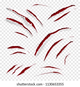 Claw scratches vector illustration of realistic red wild animal scratching with torn white texture on transparent background