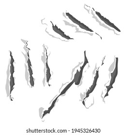 Claw scratches vector set isolated on a white background.