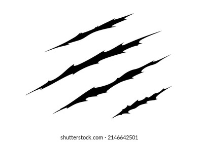 Claw scratches of wild animal. Cat scratches marks isolated in white background. Monochrome vector illustration