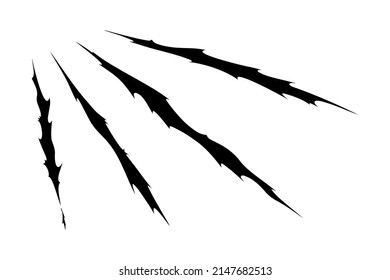 Claw scratches of wild animal. Cat scratches marks isolated in white background. Monochrome vector illustration