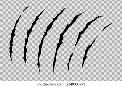 Claw scratches of wild animal. Cat scratches marks isolated in transparent background. Monochrome vector illustration
