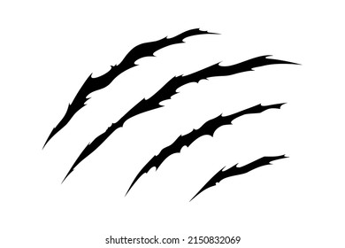 Claw scratches of wild animal. Cat scratches marks isolated in white background. Monochrome vector illustration