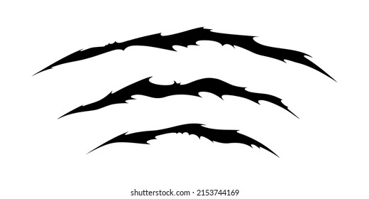 Claw scratches of wild animal. Cat scratches marks isolated in white background. Monochrome vector illustration