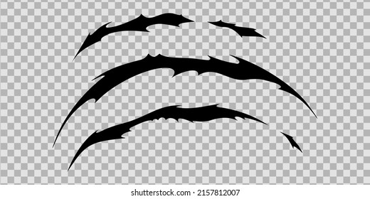 Claw scratches of wild animal. Cat scratches marks isolated in transparent background. Monochrome vector illustration