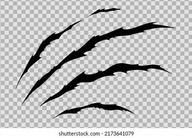 Claw scratches of wild animal. Cat scratches marks isolated in transparent background. Monochrome vector illustration