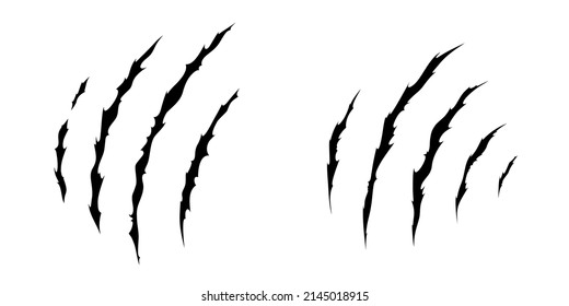 Claw scratches of wild animal. Set with cat scratches marks isolated in white background. Monochrome vector illustration