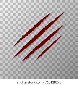 Claws Animal Scratches Isolated On Transparent Background. EPS10 Vector