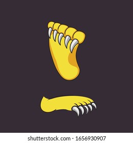 Claws of a bear with claws