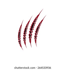 claws marks