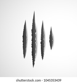 Claws paw scratches isolated vector on white background. Animal Claws horror scratch tiger, lion or bear.