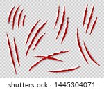 Claws scratches. Animal claw tracks, cat or tiger, bear or lion attack nails scratches. Thriller horror, halloween monster vector scratched marked isolated set