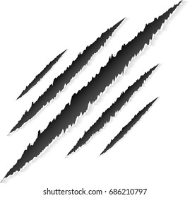 Claws scratches with animal used Claws scratches on white background withvector isolated 