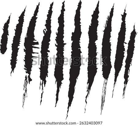 Claws scratches. Cat tiger scratches paw shape, Claw signs vector Illustration