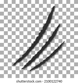 Claws scratches icon isolated on transparency background. Several forms nicks of wild animals. Vector Illustration