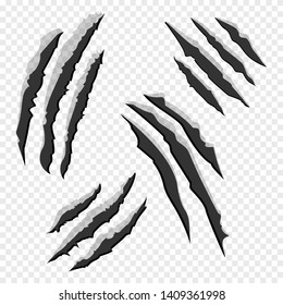 Claws Scratches Isolated On Transparent Background. Animal Claw Scratch Like Lion, Tiger, Bear, Cat, Wolf. Vector Illustration