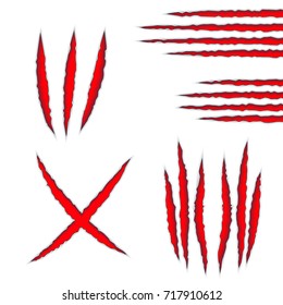 Claws scratches marks