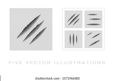 Claws scratches on paper with ripped edges with shadow on transparent background. Graphic concept for your design