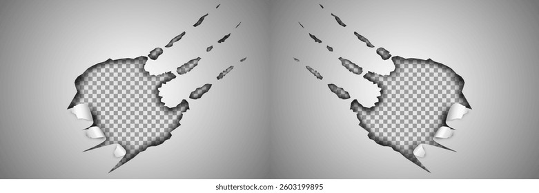 Claws scratches on transparent background	