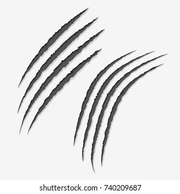 Claws scratches on white background.Scratch left by clawed.vector illustration