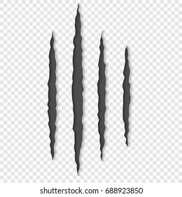 Claws scratches with shadows. vector isolated