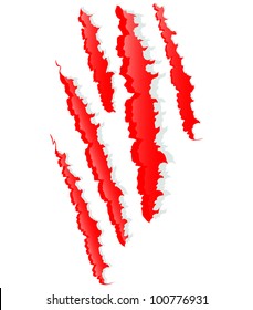 Claws scratches. Vector.