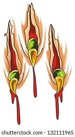 Claws scratches vector