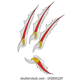 Claws scratches vector 