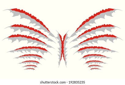 Claws scratches vector 