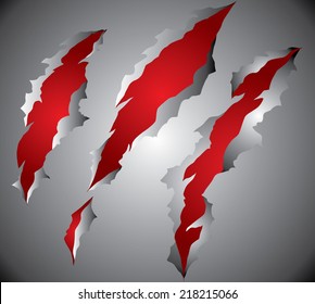 Claws scratches vector