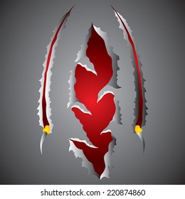 Claws scratches vector