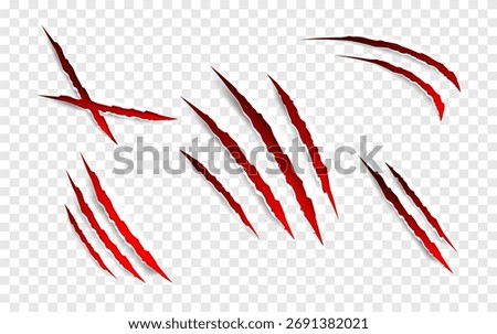 Claws scratches - vector isolated. Claws scratches animal claw tracks cat or tiger bear or lion attack nails scratches. Horror, halloween monster. Vector