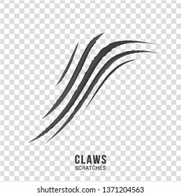 Claws scratches - vector isolated on transparent background. Claws scratching animal (cat, tiger, lion, bear) illustration. - Vector