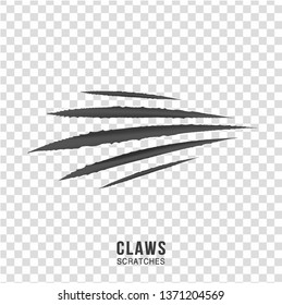 Claws scratches - vector isolated on transparent background. Claws scratching animal (cat, tiger, lion, bear) illustration. - Vector