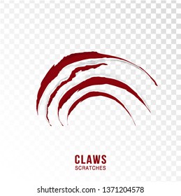 Claws scratches - vector isolated on transparent background. Claws scratching animal (cat, tiger, lion, bear) illustration. - Vector