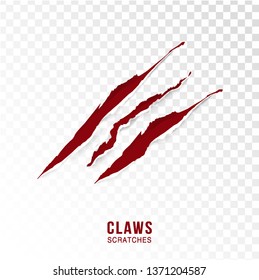 Claws scratches - vector isolated on transparent background. Claws scratching animal (cat, tiger, lion, bear) illustration. - Vector