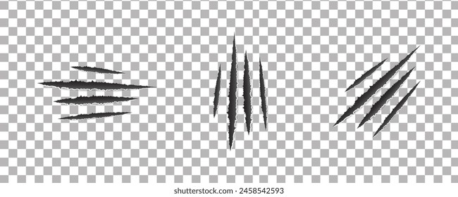 Claws scratches vector isolated on transparent background. cat, tiger, lion, bear nail scratches illustration.