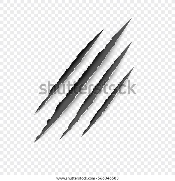 Claws scratches - vector isolated on transparent\
background. Claws scratching animal (cat, tiger, lion, bear)\
illustration. 