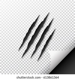 Claws scratching animal isolated on background. Vector illustration.