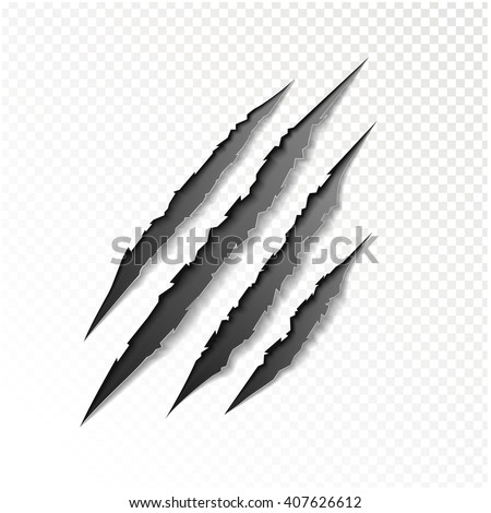 claws scratching animal vector illustration. 