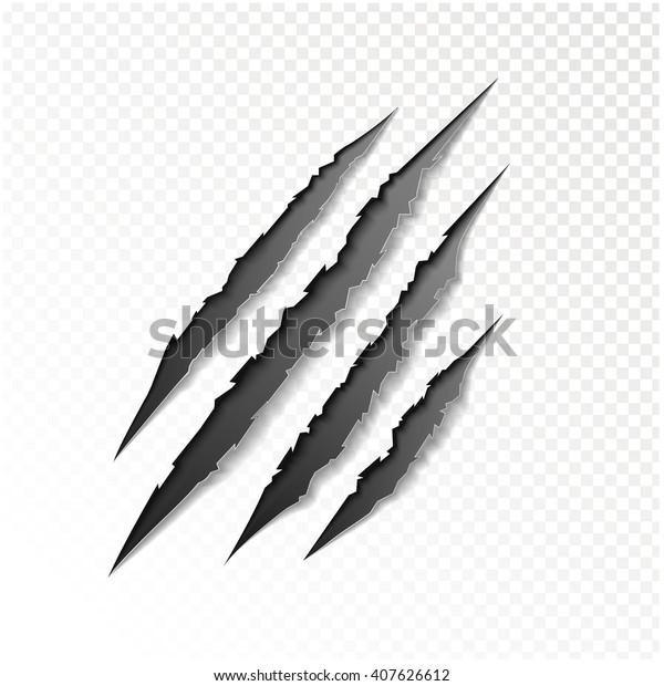 claws scratching
animal vector illustration.
