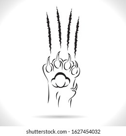 Claws scratching cat,cat paw leg foot,design, Isolated on theWhite background.