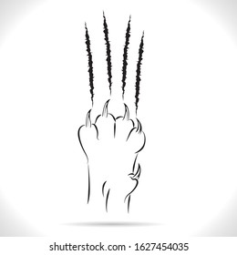 Claws scratching cat,cat paw leg foot,design, Isolated on theWhite background.