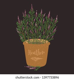Clay pot with heather flowers. Vector illustration on dark background. Cute design element for icons, stickers.